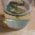 大葉抽出ドリンク