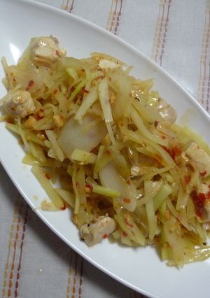 チキンとパパイヤの炒め物-レシピのメイン写真