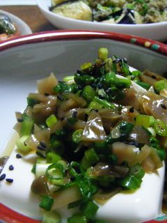 搾菜(ざあさい)豆腐-レシピのメイン写真