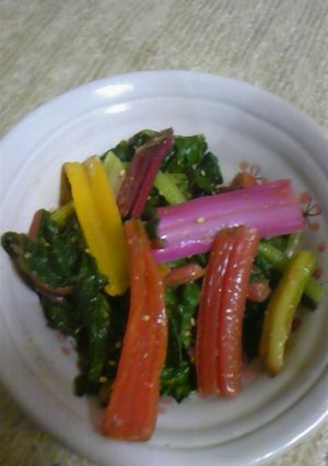 珍野菜料理1-レシピのメイン写真