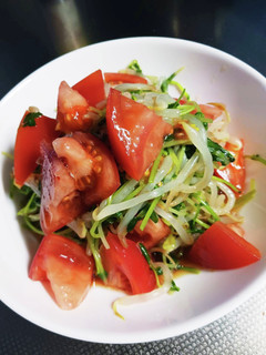 コスパ最高!豆苗とモヤシのトマトサラダ-レシピのメイン写真