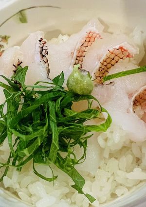 釣って来た鬼カサゴで出汁茶漬け-レシピのメイン写真
