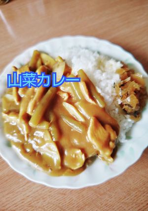 ふきと根曲がり竹の山菜カレー-レシピのメイン写真