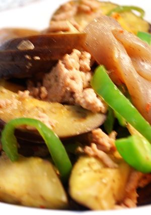 なすとこんにゃくのひき肉炒め-レシピのメイン写真