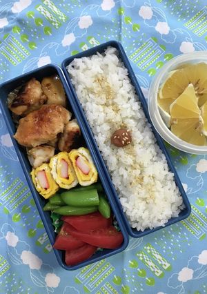 20240527マイ弁当-レシピのメイン写真