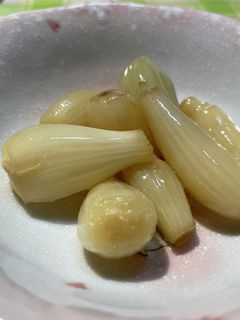 生らっきょうの甘酢漬け-レシピのメイン写真