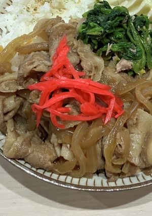 ホットクックで★ほろほろ無水豚丼-レシピのメイン写真