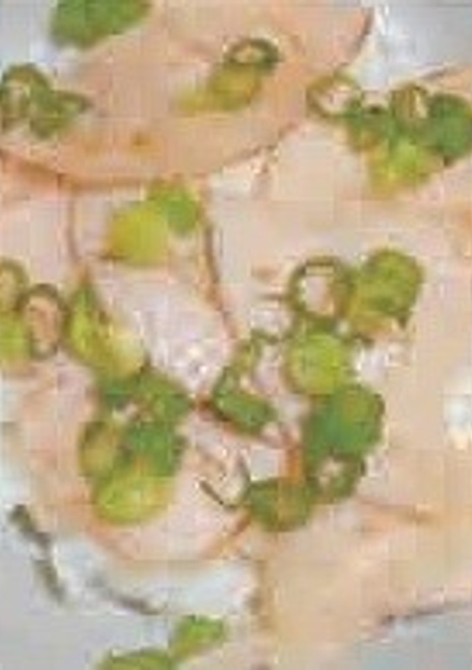れんこんのさっぱり炊き込みご飯-レシピのメイン写真