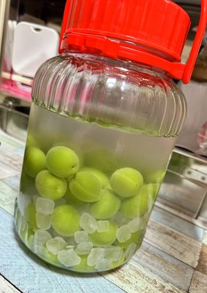自家製梅酒(˶ᐢᗜᐢ˶)-レシピのメイン写真