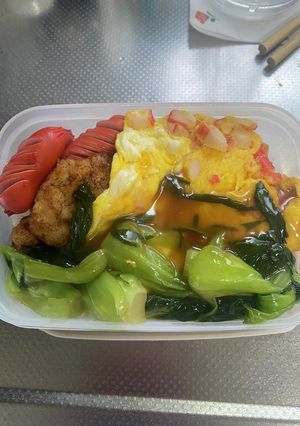 天津飯のっけ弁当2024/05/29-レシピのメイン写真