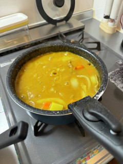 謎に深みの出た和風カレー -レシピのメイン写真