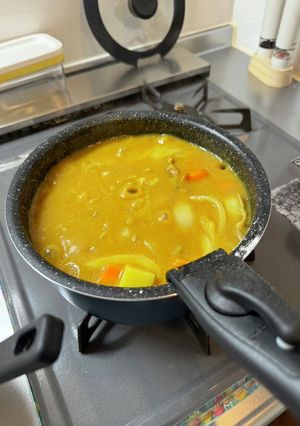謎に深みの出た和風カレー -レシピのメイン写真