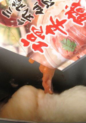 イカの塩辛餅-レシピのメイン写真