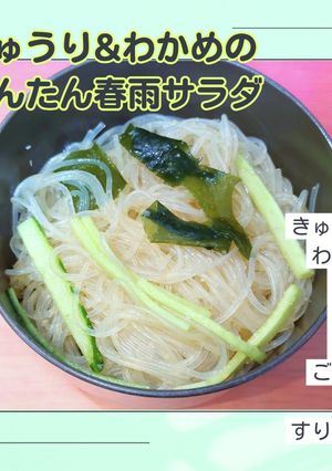 簡単でシンプル！きゅうりの春雨サラダ-レシピのメイン写真