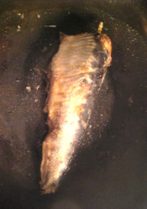 鰯の白ワインビネガー和え-レシピのメイン写真