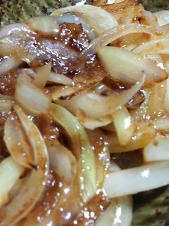 簡単・美味しい!玉ねぎの味噌炒め♪-レシピのメイン写真
