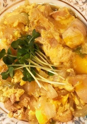 最強のヘルシー親子煮-レシピのメイン写真