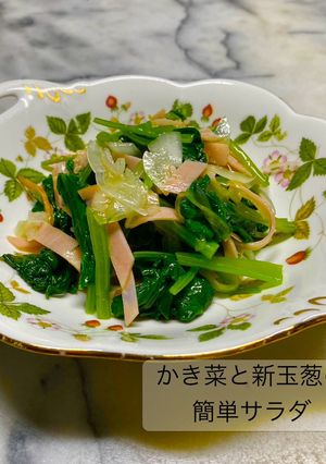 No3339かき菜と新玉葱の簡単サラダ-レシピのメイン写真