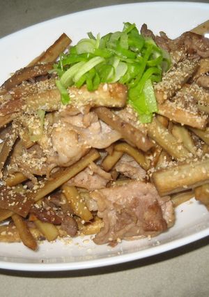 ごぼうとバラ肉の炒め物-レシピのメイン写真