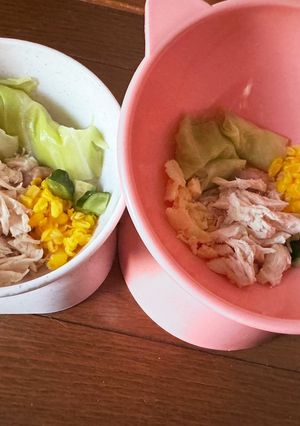 犬用 簡単ロールキャベツ風-レシピのメイン写真