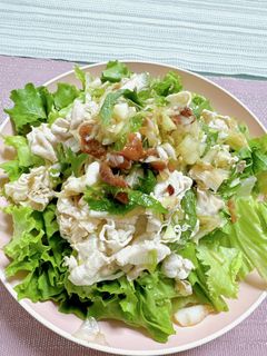 梅しそ冷しゃぶサラダ-レシピのメイン写真