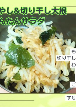 もやし&切り干し大根&わかめのサラダ！-レシピのメイン写真