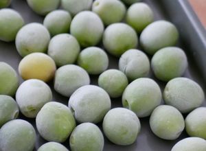 青梅・完熟梅の冷凍方法【梅シロップ用】-レシピのメイン写真