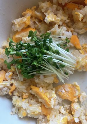 オガタの卵だけチャーハン-レシピのメイン写真
