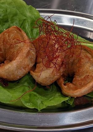 揚げたて肉餃子-レシピのメイン写真