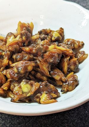 ご飯がエンドレス♡アサリのむき身で佃煮-レシピのメイン写真