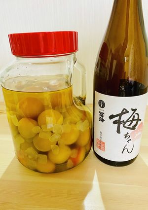 完熟梅の日本酒梅酒-レシピのメイン写真