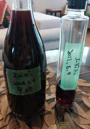 エルダーフラワーコーディアル-レシピのメイン写真