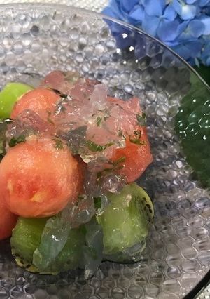 スイカのハーブジュレがけ-レシピのメイン写真