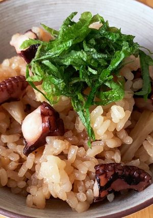 ひたすらに醤油と生姜で香ばしいたこめし-レシピのメイン写真