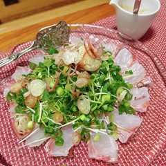 รูปของ 鯛のゴマだれサラダ