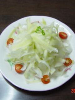 簡単大根サラダ-レシピのメイン写真