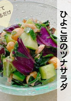 簡単!ハンダマとひよこ豆のツナサラダ-レシピのメイン写真