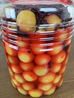 梅干し 簡単-レシピのメイン写真