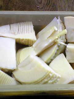 新たけのこのシンプル煮-レシピのメイン写真