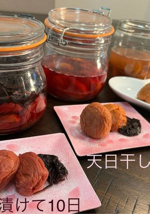 大粒でフルーティなアプリコットの梅干し♪-レシピのメイン写真