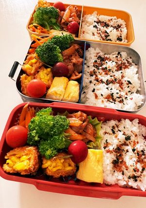 家族弁当　R6.6.10-レシピのメイン写真