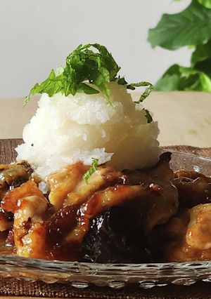 鶏モモ肉&茄子おろしぶっかけ☆胃に優しい-レシピのメイン写真