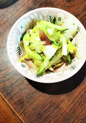 白菜と胡瓜と茗荷の即席浅漬け-レシピのメイン写真