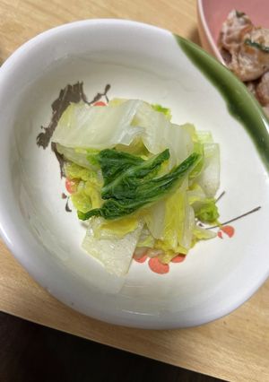 はくさいの炊いたん-レシピのメイン写真