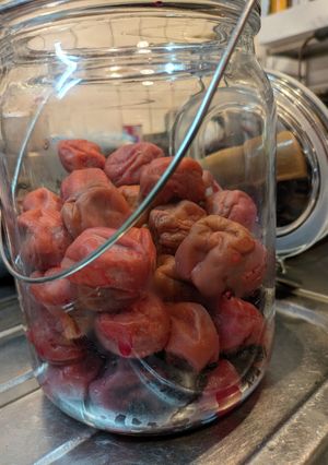 梅干し-レシピのメイン写真