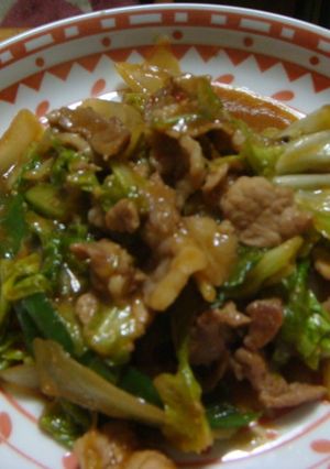 キャベツと豚の味噌炒め-レシピのメイン写真