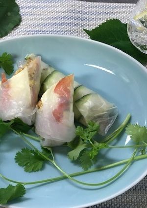 夏バテリカバリー生春巻き-レシピのメイン写真