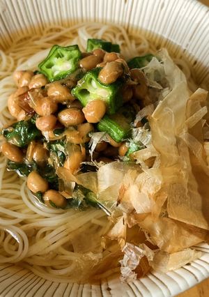 暑い日はコレ！梅しそオクラ納豆そうめん-レシピのメイン写真