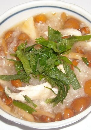鶏肉入りなめこおろし青じそドレッシング味-レシピのメイン写真