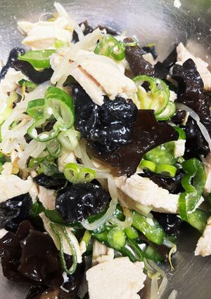 ネギ香る鶏胸肉とキクラゲ、もやしのサラダ-レシピのメイン写真
